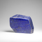 Genuine Polished Lapis Lazuli Freeform v.7