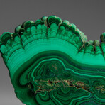 Genuine Polished Malachite Stalactite Slice v.2