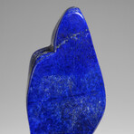 Genuine Polished Lapis Lazuli Freeform v.2