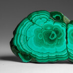 Genuine Polished Malachite Stalactite Slice v.1