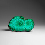Genuine Polished Malachite Stalactite Slice v.1