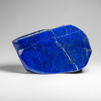 Genuine Polished Lapis Lazuli Freeform v.13