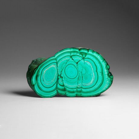 Genuine Polished Malachite Stalactite Slice v.1