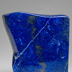 Genuine Polished Lapis Lazuli Freeform v.12