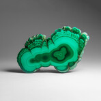 Genuine Polished Malachite Stalactite Slice v.2