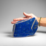 Genuine Polished Lapis Lazuli Freeform v.13