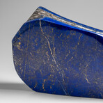 Genuine Polished Lapis Lazuli Freeform v.13