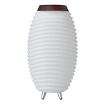 Synergy 50 // Cordless Indoor/Outdoor Speaker Lamp - Wine Cooler