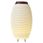 Synergy 65 // Cordless Indoor/Outdoor Speaker Lamp - Wine Cooler