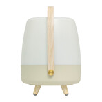 Lite-Up PLAY // Cordless Indoor/Outdoor Speaker Lamp - Sound by JBL (Ocean)