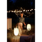 Synergy 50 // Cordless Indoor/Outdoor Speaker Lamp - Wine Cooler