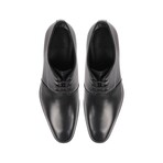 Hico Derby Shoes // Black (US: 7)