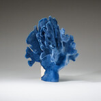 Genuine Blue Ridge Coral v.2