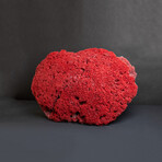 Genuine Red Pipe Organ Coral v.2