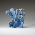 Genuine Blue Ridge Coral v.4