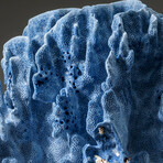 Genuine Blue Ridge Coral v.1