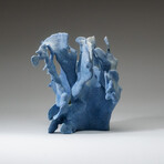 Genuine Blue Ridge Coral v.4