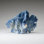 Genuine Blue Ridge Coral v.5