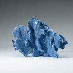 Genuine Blue Ridge Coral v.5