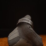 Epoch - Megalodon Tooth - Black Edition (8.5)