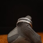 Epoch - Megalodon Tooth Tungsten Ring (8.5)