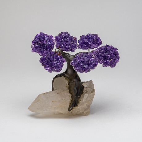 Small Genuine Amethyst Clustered Gemstone Tree on Quartz Crystal Matrix (The Harmony Tree)