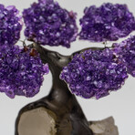 Small Genuine Amethyst Clustered Gemstone Tree on Quartz Crystal Matrix (The Harmony Tree)