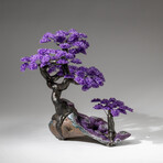Custom Designed - Genuine Amethyst Clustered Gemstone Tree on Amethyst Matrix (The Protection Tree)