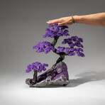 Custom Designed - Genuine Amethyst Clustered Gemstone Tree on Amethyst Matrix (The Protection Tree)