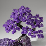 Custom Designed - Genuine Amethyst Clustered Gemstone Tree on Amethyst Matrix (The Protection Tree)