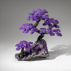 Custom Designed - Genuine Amethyst Clustered Gemstone Tree on Amethyst Matrix (The Protection Tree)