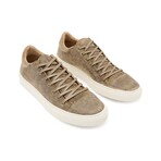 315 Reed Low Top // Teakwood (8)