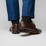 Criss // Oxford — Ostrich // Brown (8)
