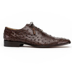 Criss // Oxford — Ostrich // Brown (8)