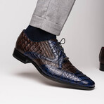 Luciano // Derby — Caiman Belly // Navy/Brown (8)