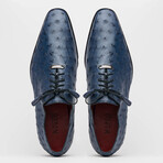 Criss // Oxford — Ostrich // Navy (8)