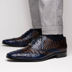 Luciano // Derby — Caiman Belly // Navy/Brown (8)