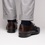 Luciano // Derby — Caiman Belly // Navy/Brown (8)