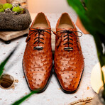 Criss // Oxford — Ostrich // Brandy (9)