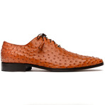 Criss // Oxford — Ostrich // Brandy (9)