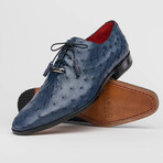 Criss // Oxford — Ostrich // Navy (8)