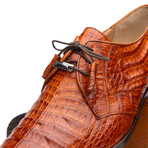 Lacio // Derby — Caiman Belly // Brandy (8)