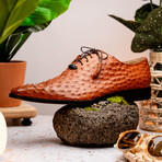 Criss // Oxford — Ostrich // Brandy (9)