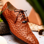 Criss // Oxford — Ostrich // Brandy (9)