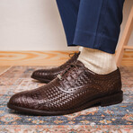 John // Oxford — Caiman Belly-Calf // Brown (8)