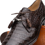Lacio // Derby — Caiman Belly // Brown (8)