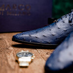 Criss // Oxford — Ostrich // Navy (8)