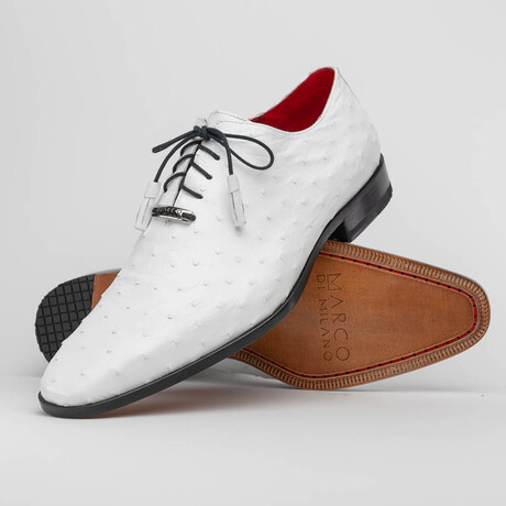 Criss // Oxford — Ostrich // White (8)