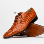 Criss // Oxford — Ostrich // Brandy (9)