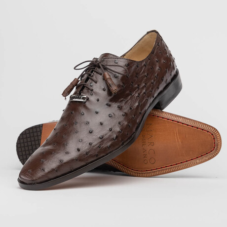 Criss // Oxford — Ostrich // Brown (8)